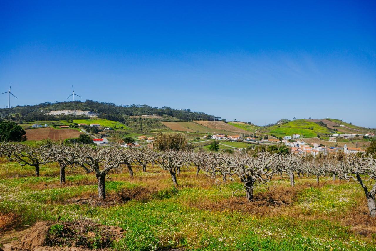 Traditional Portuguese Village House - Casa Martins No 52 Freiria Luaran gambar