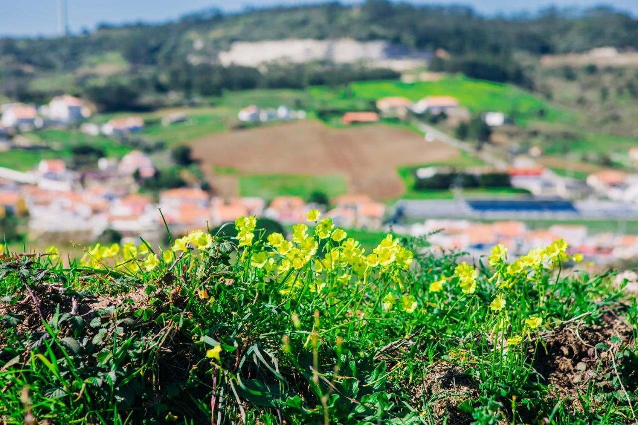 Traditional Portuguese Village House - Casa Martins No 52 Freiria Luaran gambar