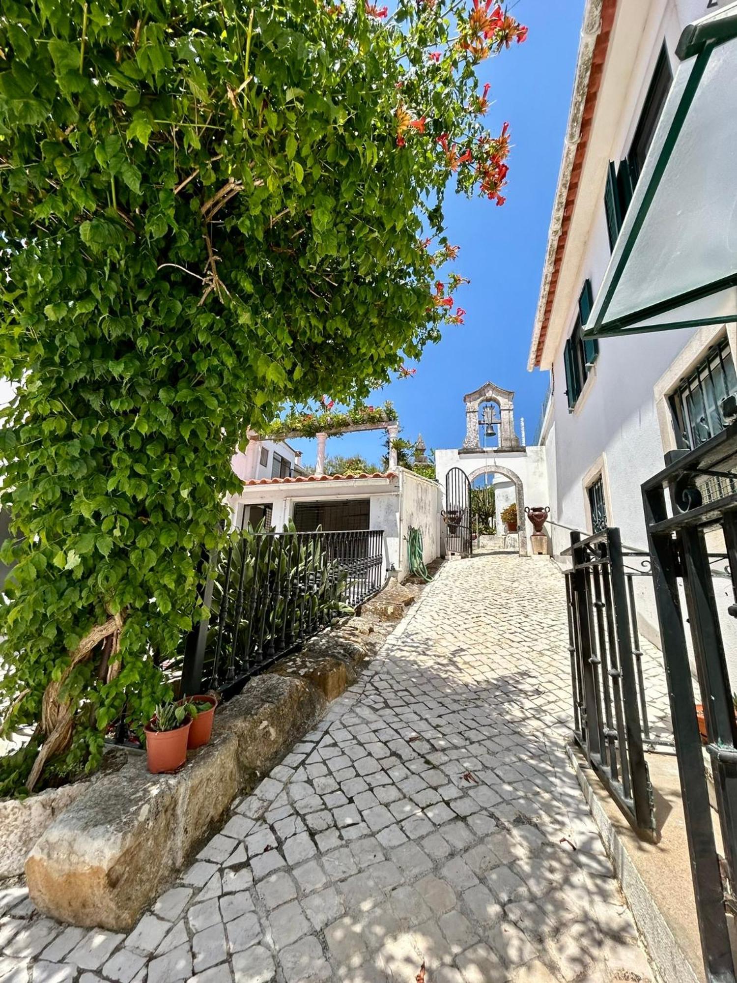 Traditional Portuguese Village House - Casa Martins No 52 Freiria Luaran gambar